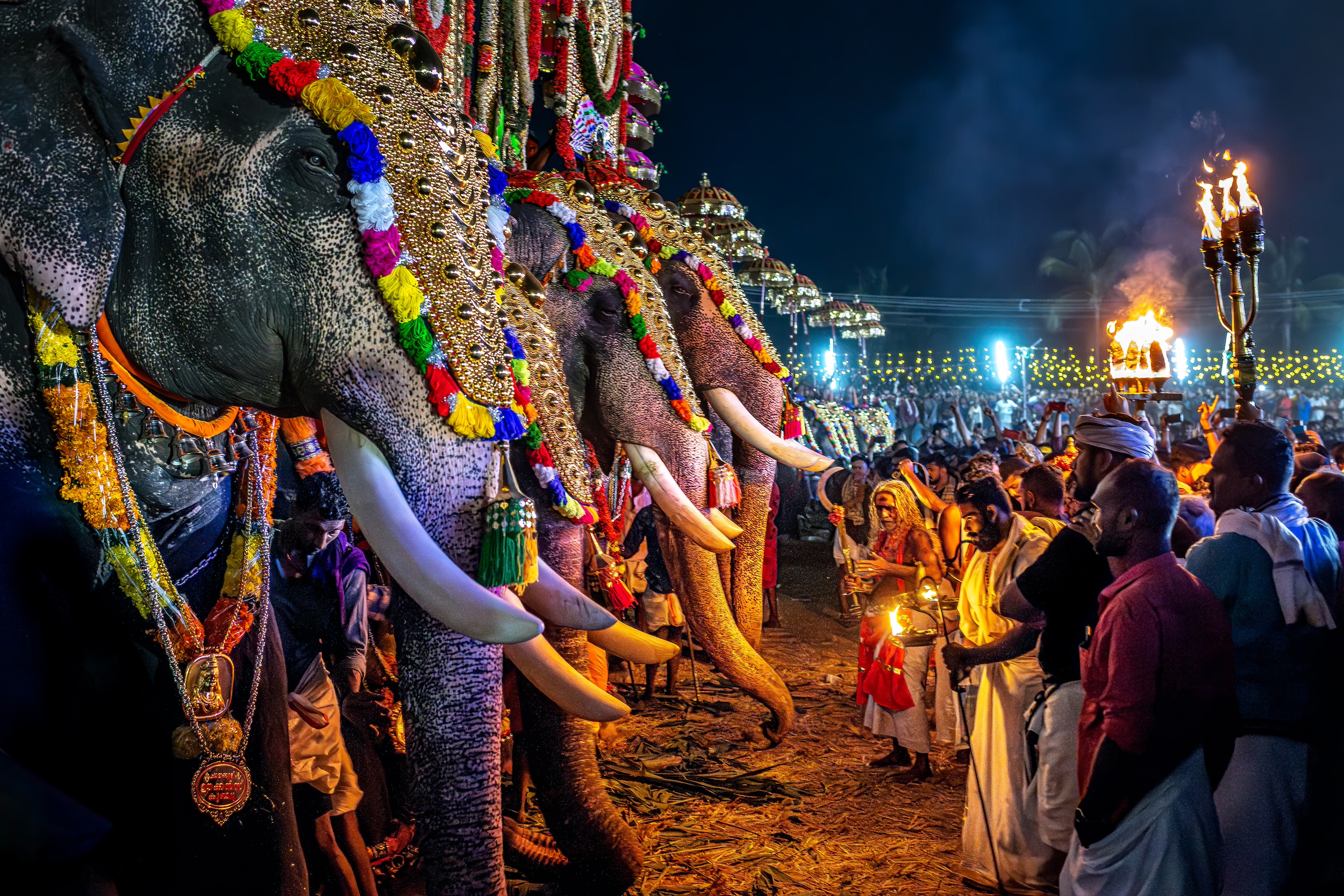 Elefenaten beim Pooram-Tempelfest in Kerala